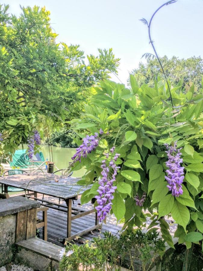 Quai Des Fleurs Bed & Breakfast Saint-Savinien Bagian luar foto